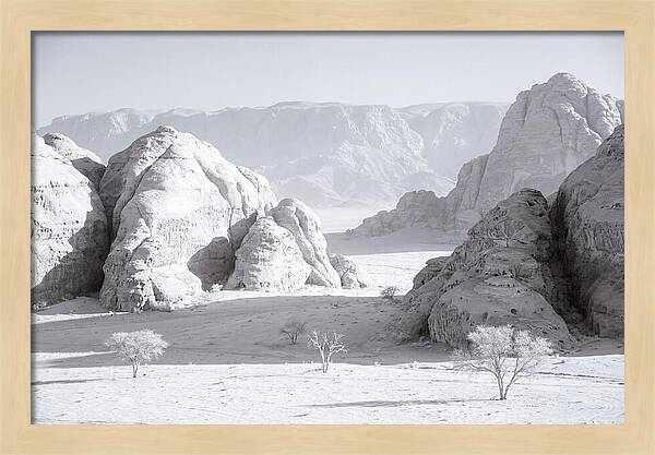Wadi Rum Tranquility