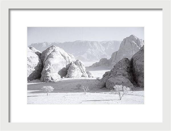 Wadi Rum Tranquility