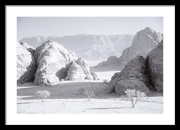 Wadi Rum Tranquility