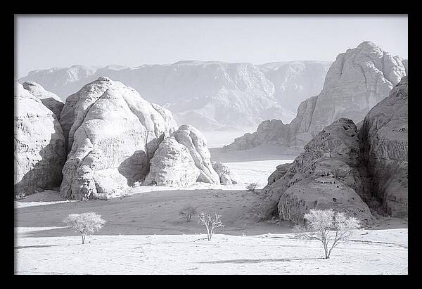 Wadi Rum Tranquility