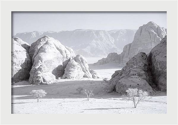 Wadi Rum Tranquility