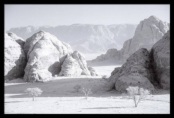 Wadi Rum Tranquility
