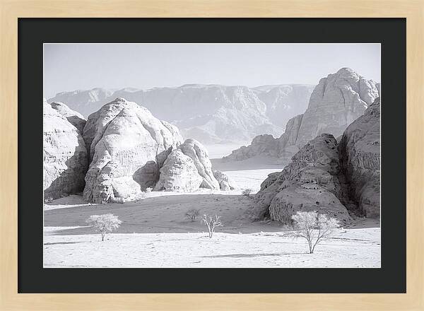 Wadi Rum Tranquility