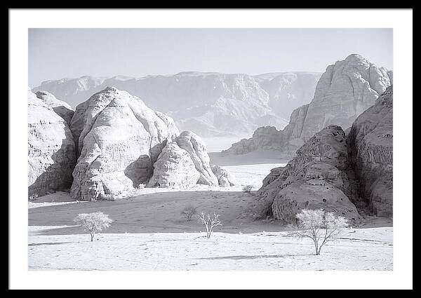 Wadi Rum Tranquility
