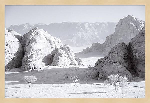 Wadi Rum Tranquility