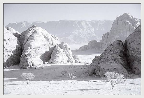 Wadi Rum Tranquility