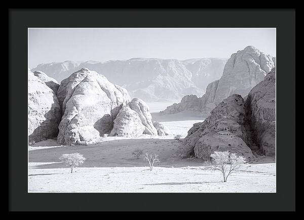 Wadi Rum Tranquility