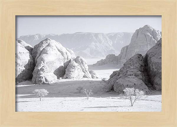 Wadi Rum Tranquility