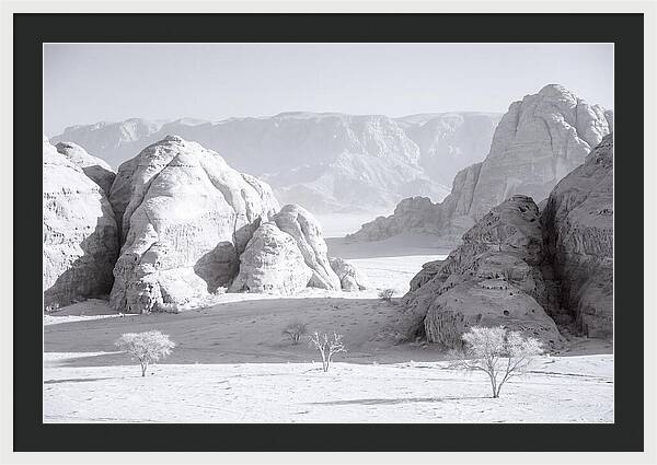Wadi Rum Tranquility