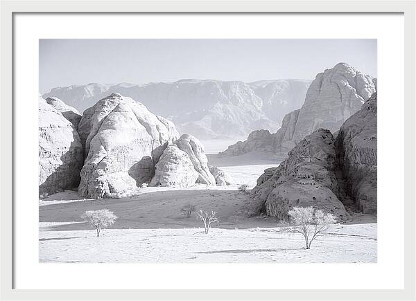 Wadi Rum Tranquility