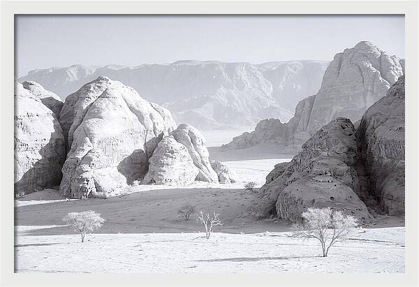 Wadi Rum Tranquility