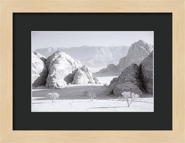 Wadi Rum Tranquility