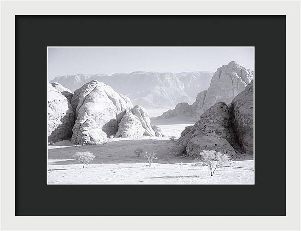 Wadi Rum Tranquility