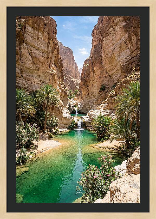Wadi Shab Oasis Serenity