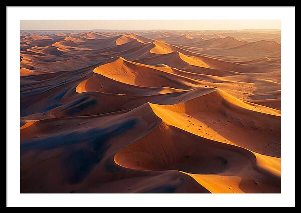 Wahiba Sands At Dawn