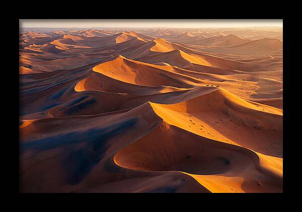 Wahiba Sands At Dawn