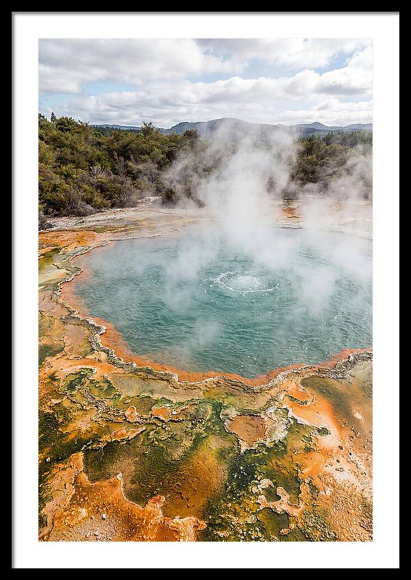 New Zealand Art