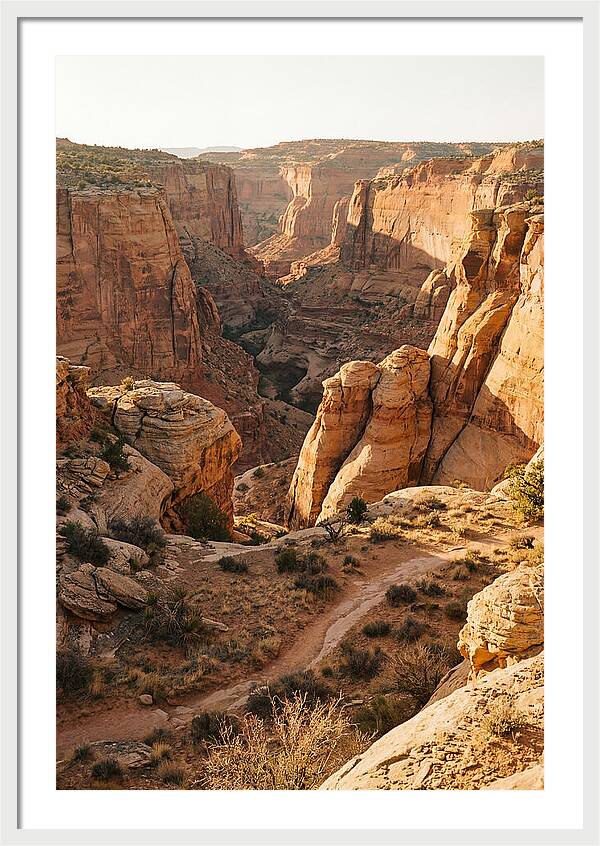 Waimea Canyon Serenity