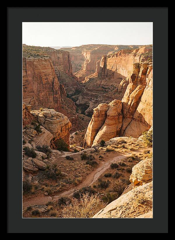 Waimea Canyon Serenity