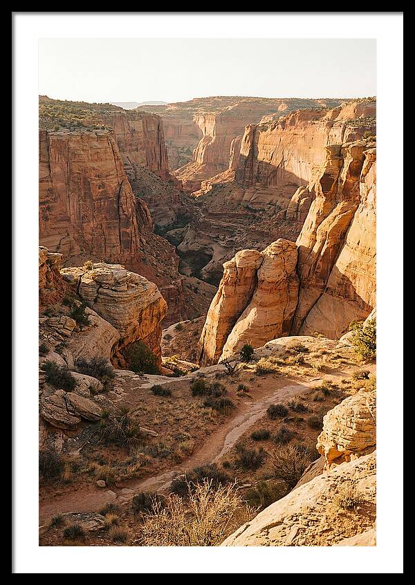 Waimea Canyon Serenity