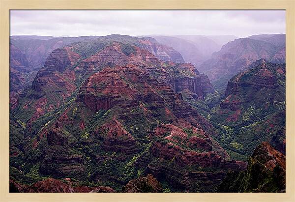 Waimea Canyon Tranquility