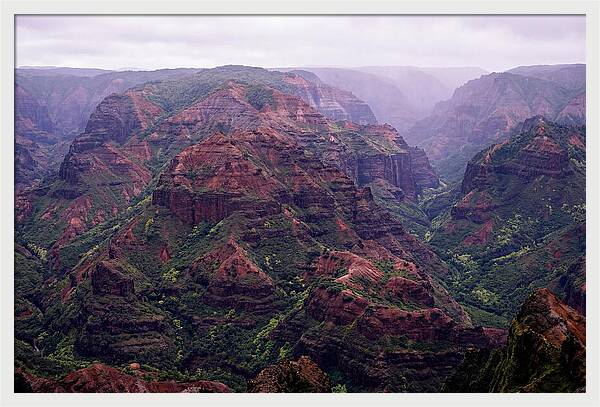 Waimea Canyon Tranquility