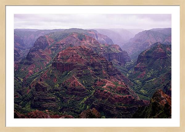 Waimea Canyon Tranquility