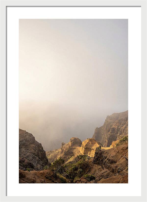 Waimea Canyon Tranquility