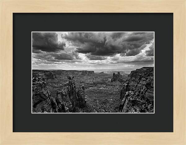 Waimea Canyon Vista