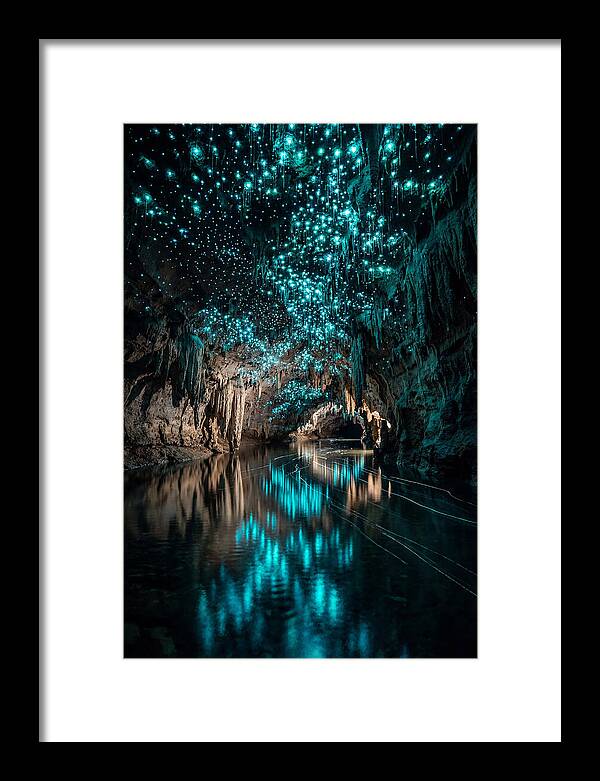 Waitomo Glowworm Caves