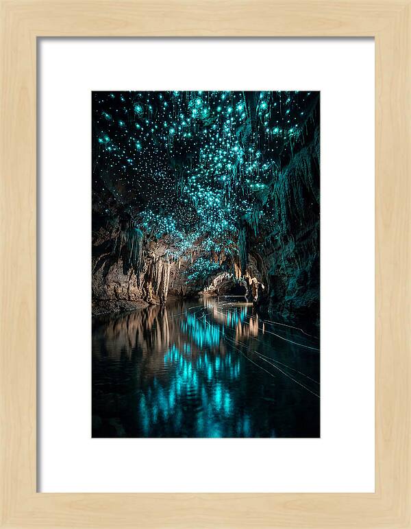 Waitomo Glowworm Caves