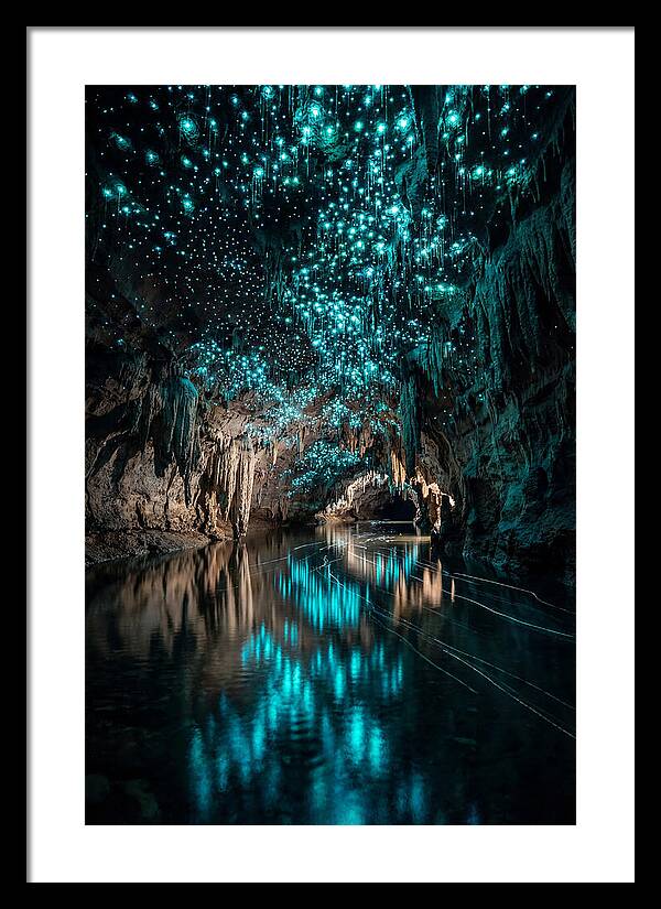 Waitomo Glowworm Caves