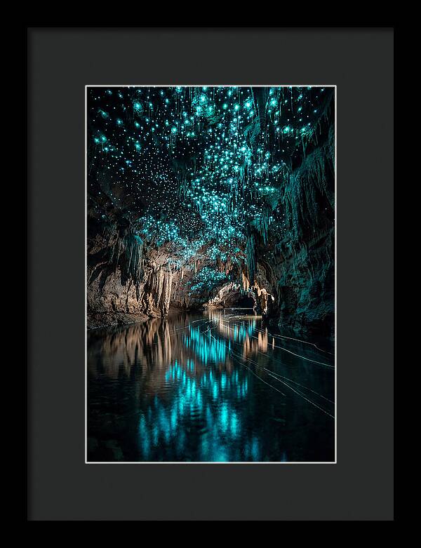 Waitomo Glowworm Caves