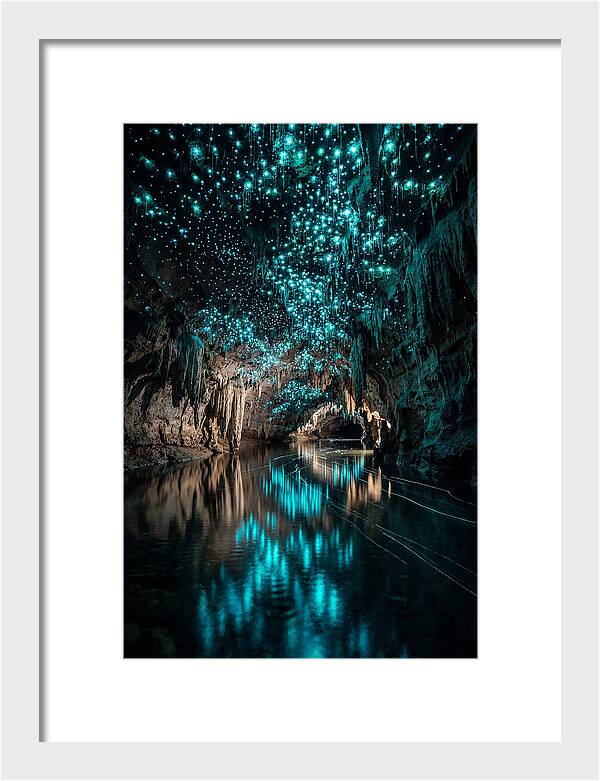 Waitomo Glowworm Caves