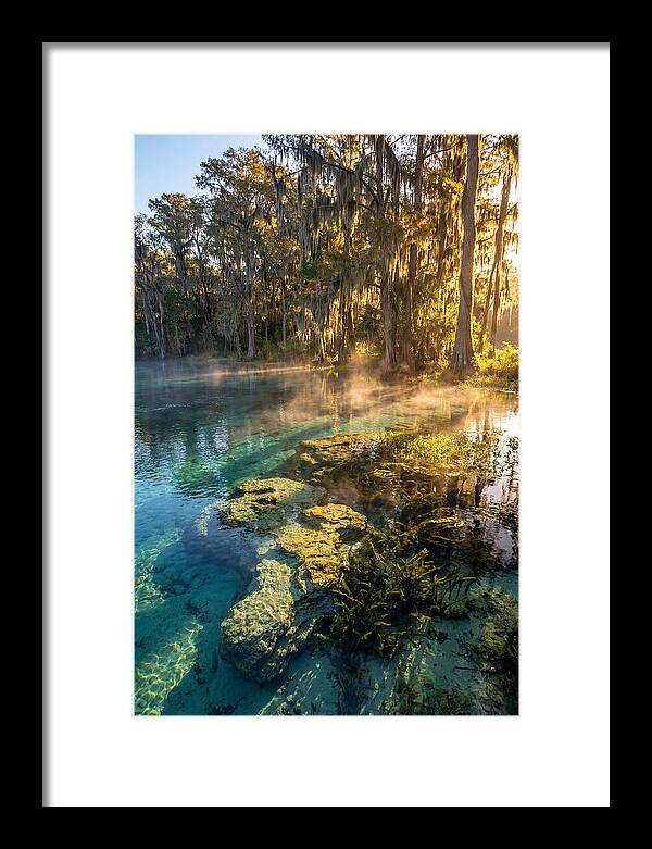 Wakulla Springs Serenity