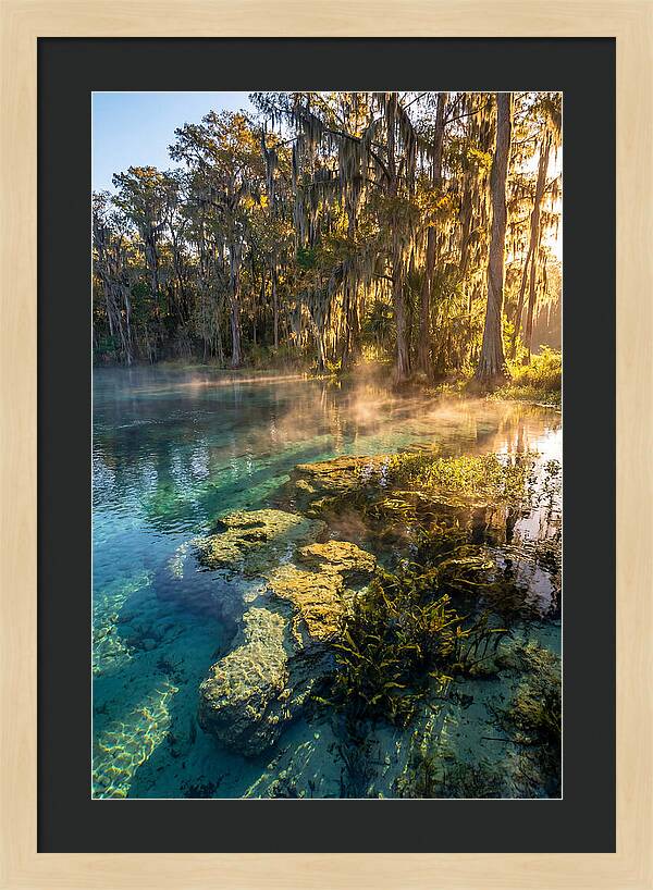 Wakulla Springs Serenity