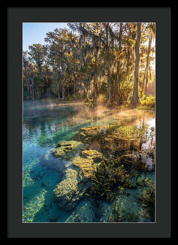 Wakulla Springs Serenity