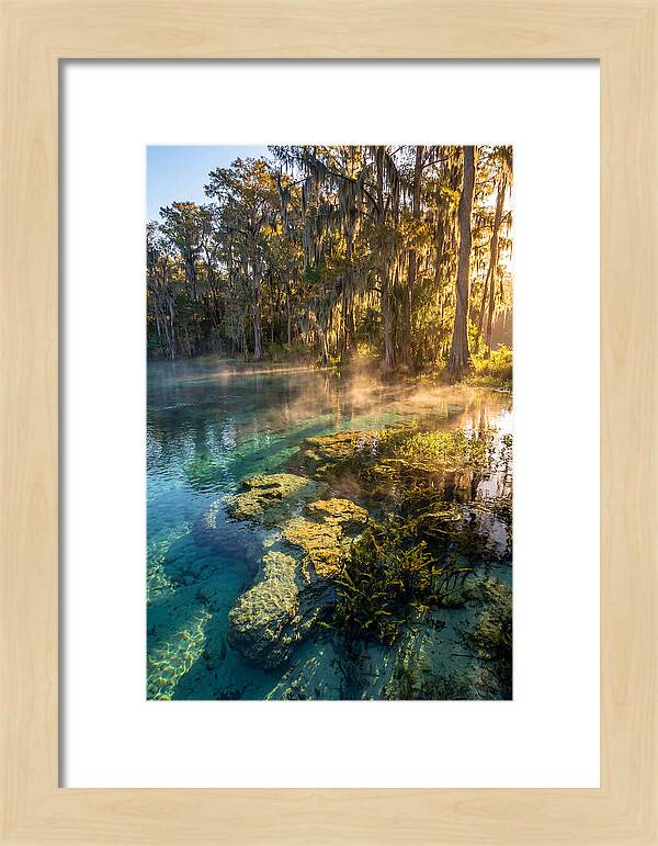 Wakulla Springs Serenity