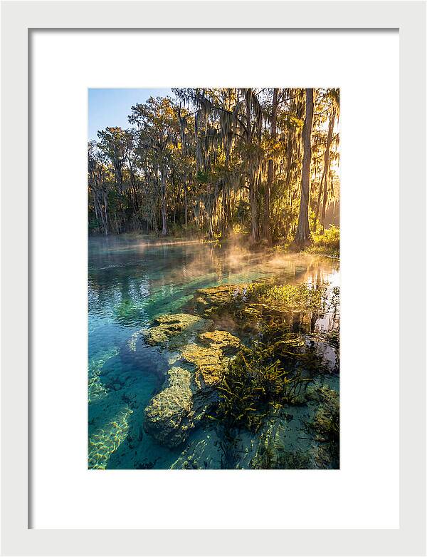 Wakulla Springs Serenity