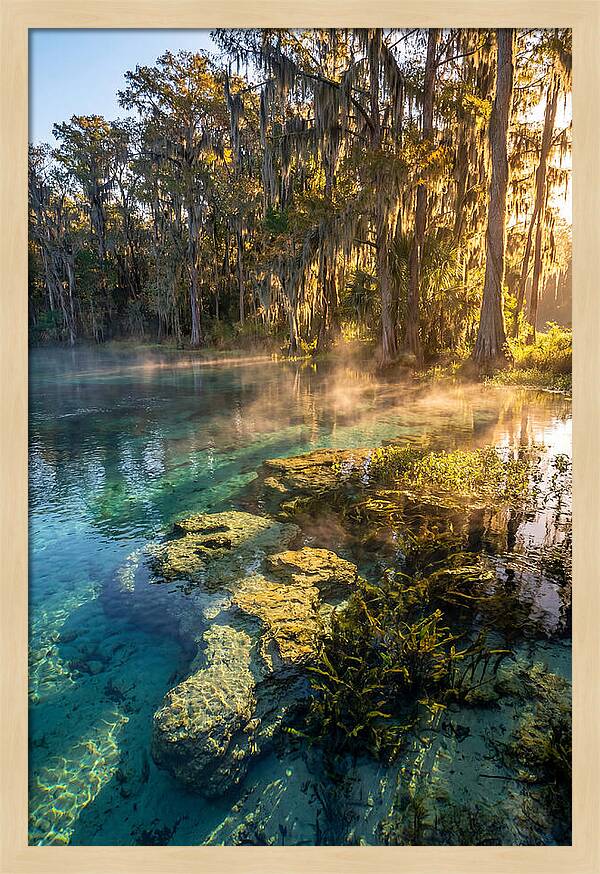 Wakulla Springs Serenity