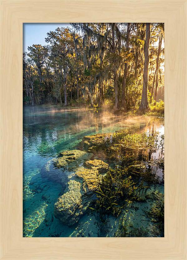 Wakulla Springs Serenity
