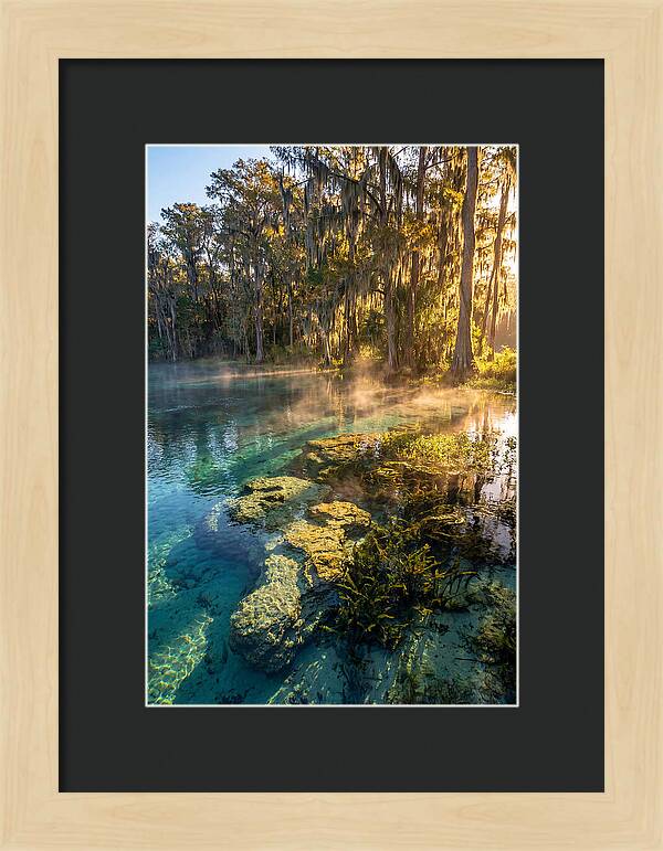 Wakulla Springs Serenity