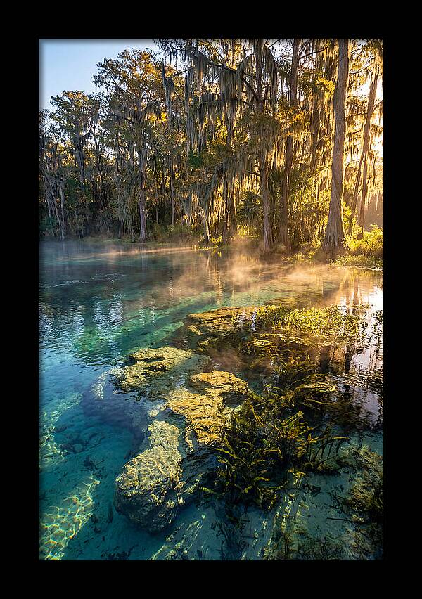 Wakulla Springs Serenity