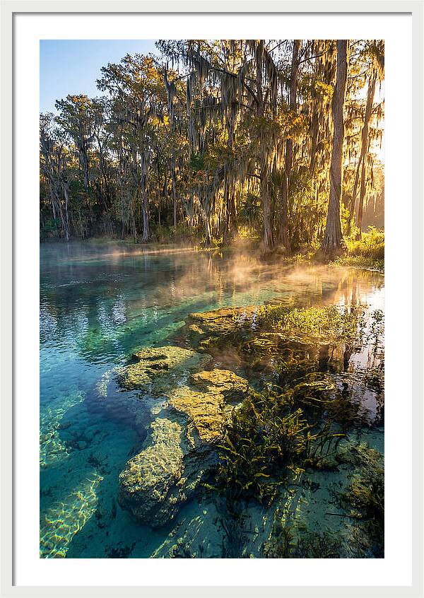 Wakulla Springs Serenity
