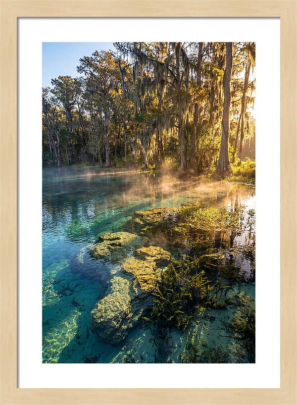 Wakulla Springs Serenity