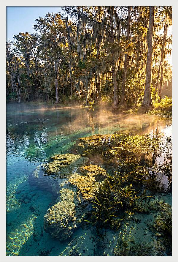 Wakulla Springs Serenity