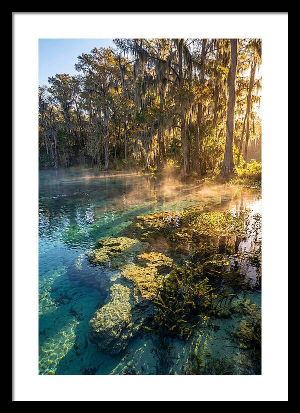 Wakulla Springs Serenity