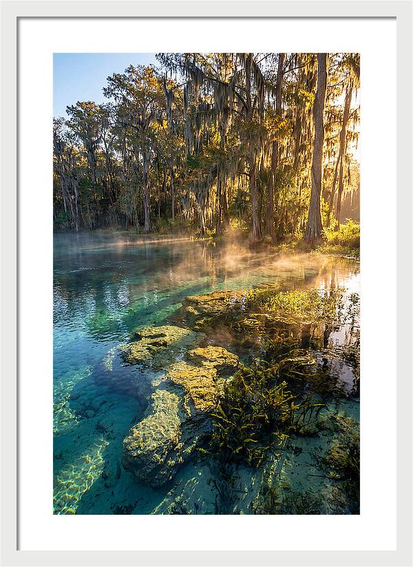Wakulla Springs Serenity