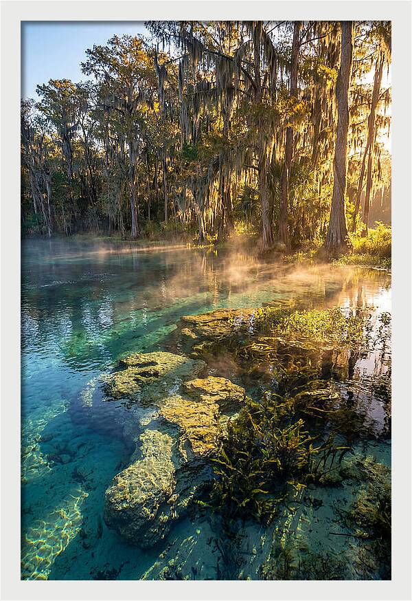 Wakulla Springs Serenity