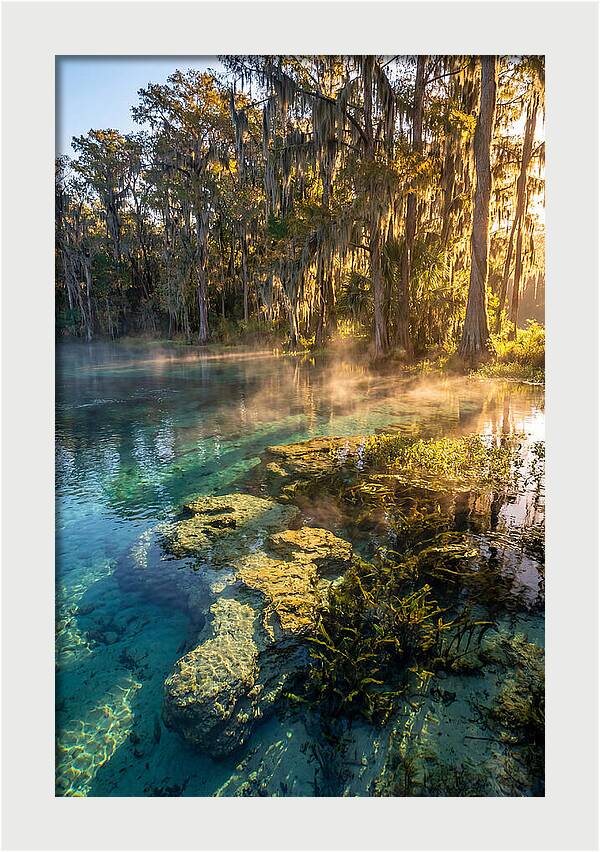 Wakulla Springs Serenity